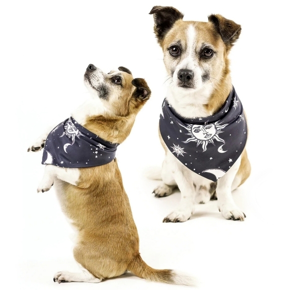 Rogue + Wolf ✦ Reversible Pet Bandana ✦ Celestial Sun & Moon Print Stars Black - Picture 6 of 14